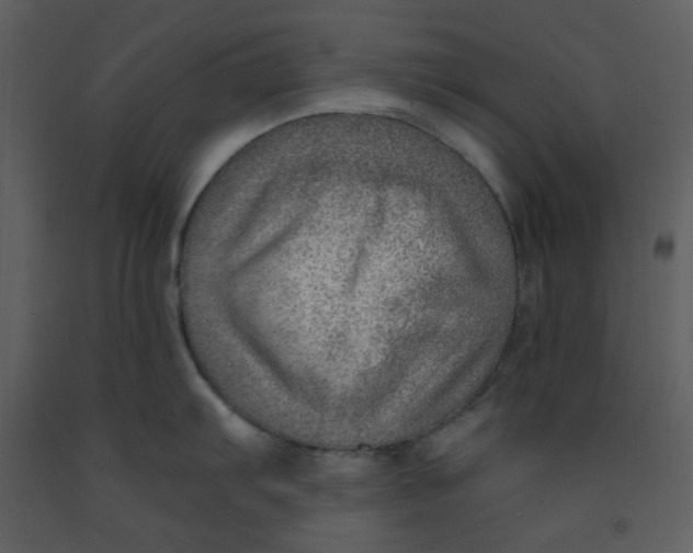 X0000093261103200710171443