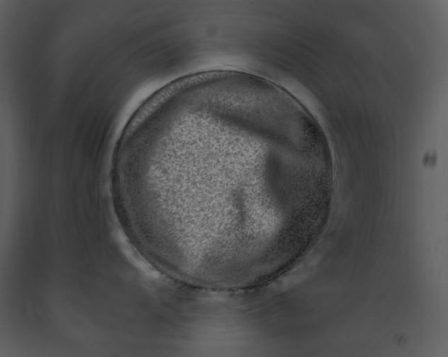 X0000093261104200710171443