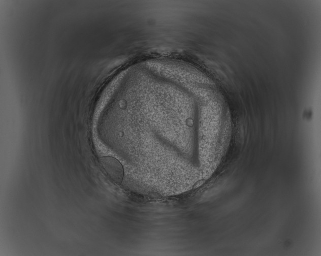 X0000093261105200710171442