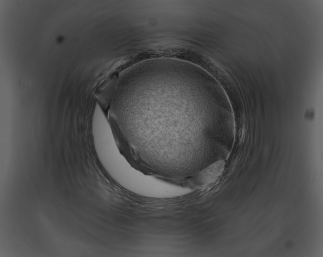 X0000093261108200710171442