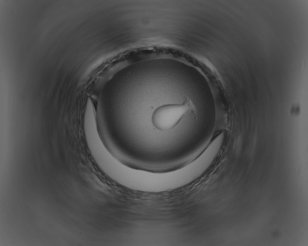 X0000093261112200710171442