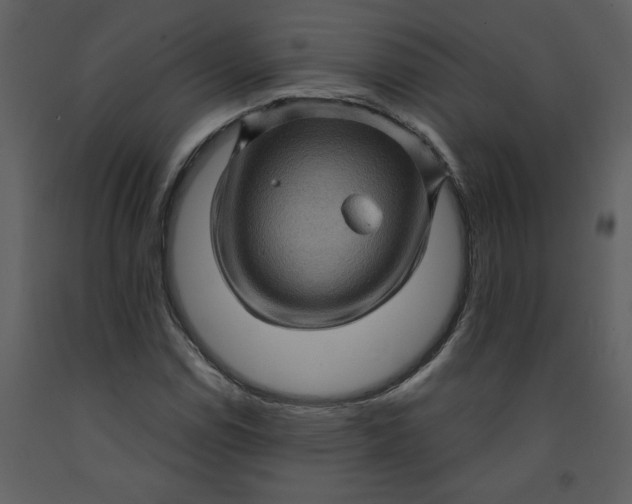 X0000093261114200710171442