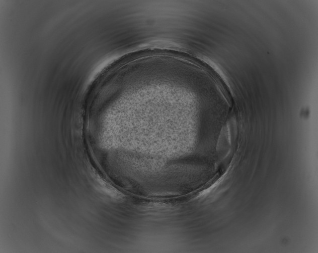 X0000093261115200710171442