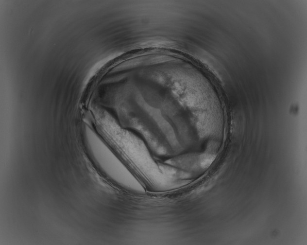 X0000093261117200710171442