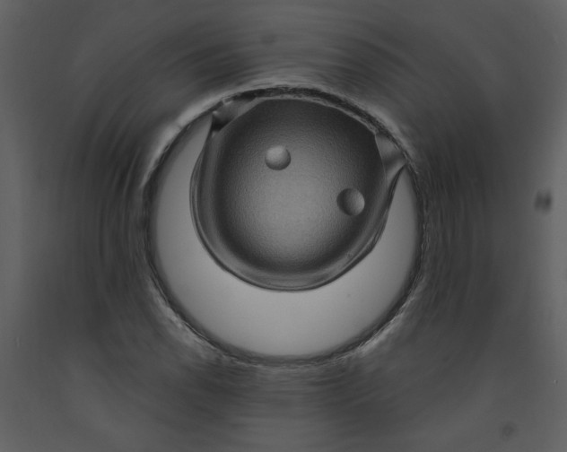 X0000093261118200710171442