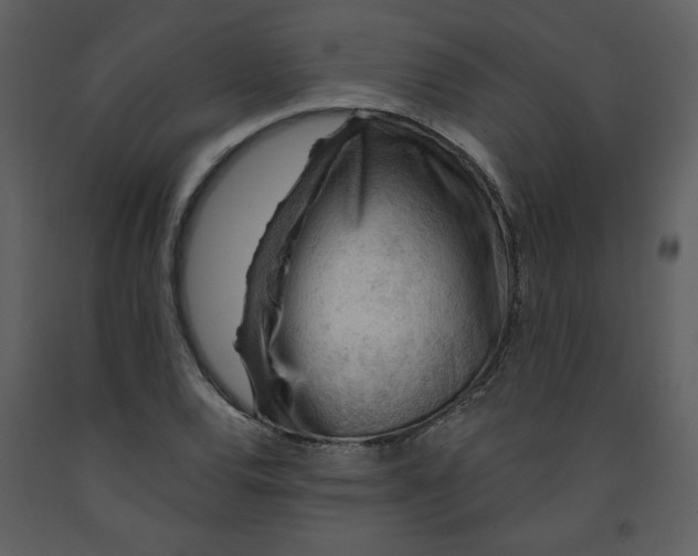 X0000093261120200710171442