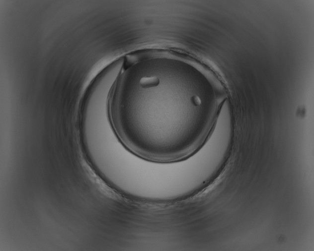 X0000093261122200710171442