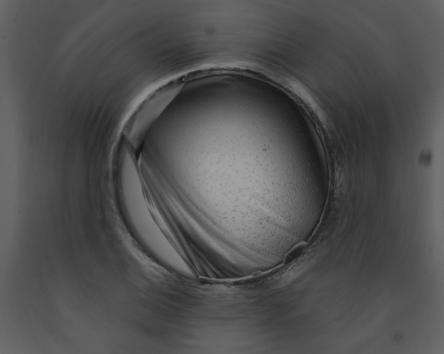 X0000093261124200710171442