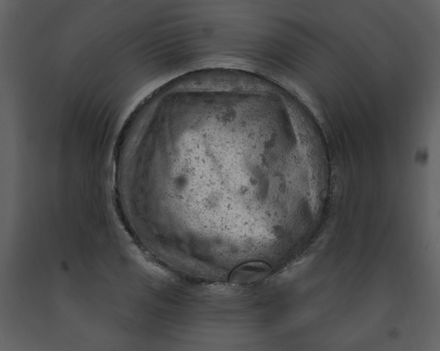 X0000093261125200710171442