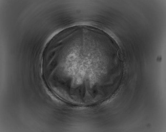 X0000093261127200710171442