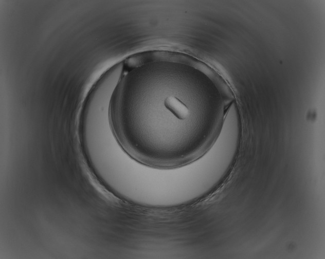 X0000093261128200710171442