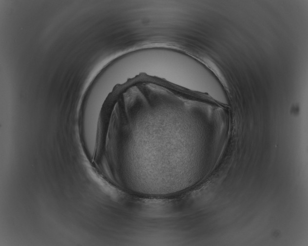 X0000093261132200710171442