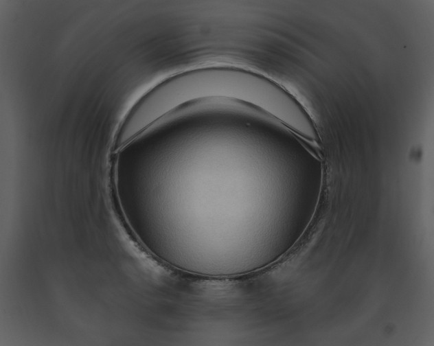 X0000093261134200710171442