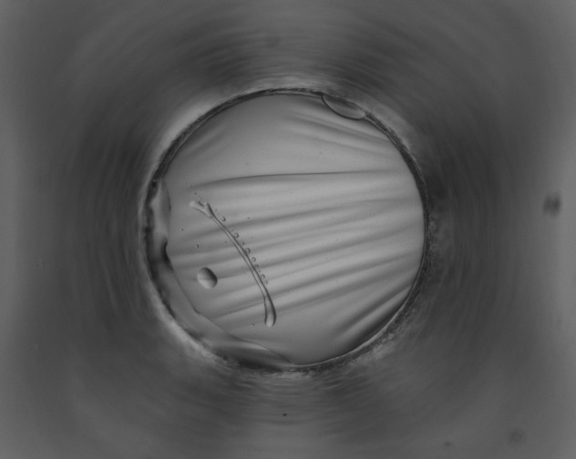 X0000093261135200710171442