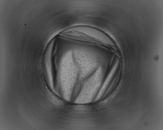 X0000093261137200710171442