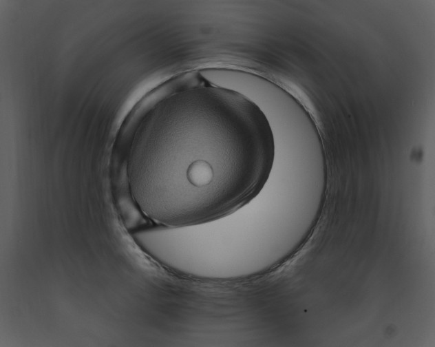 X0000093261138200710171443