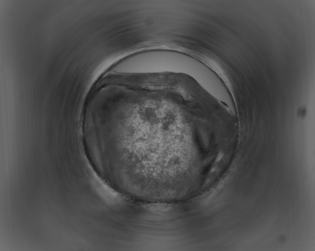 X0000093261141200710171443