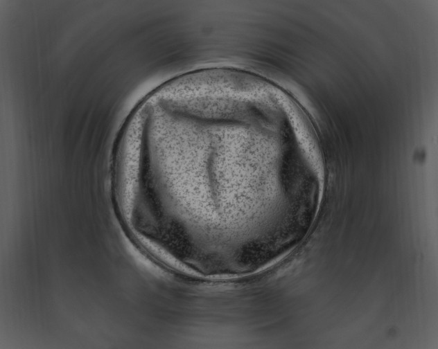 X0000093261143200710171443