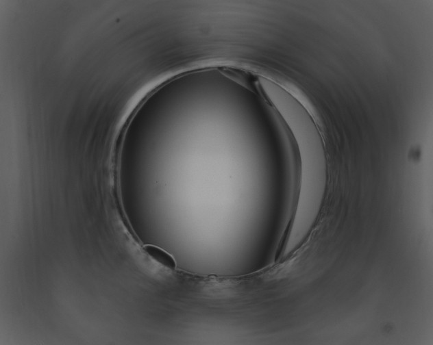 X0000093261148200710171443