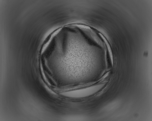 X0000093261151200710171443