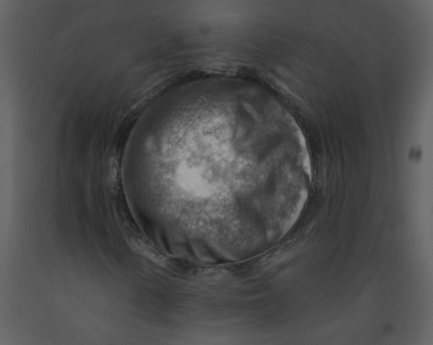 X0000093261154200710171442