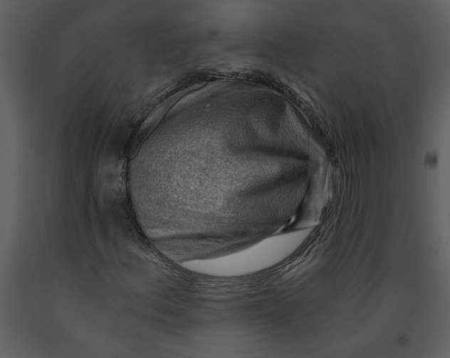 X0000093261156200710171442