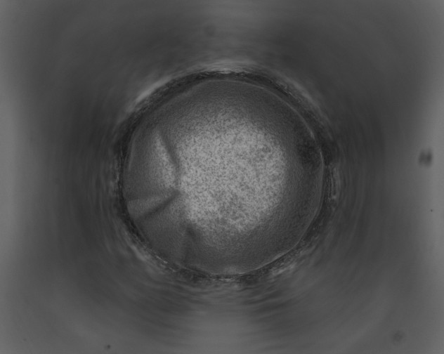 X0000093261158200710171442