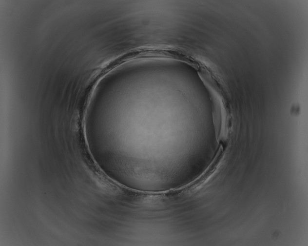 X0000093261161200710171442