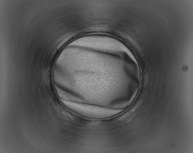 X0000093261162200710171442