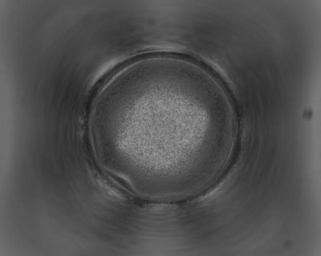 X0000093261163200710171442