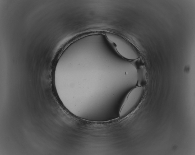 X0000093261164200710171442