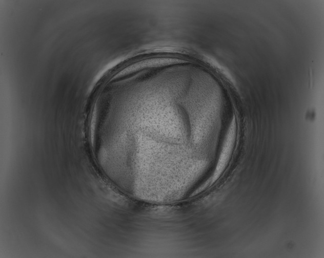 X0000093261166200710171442