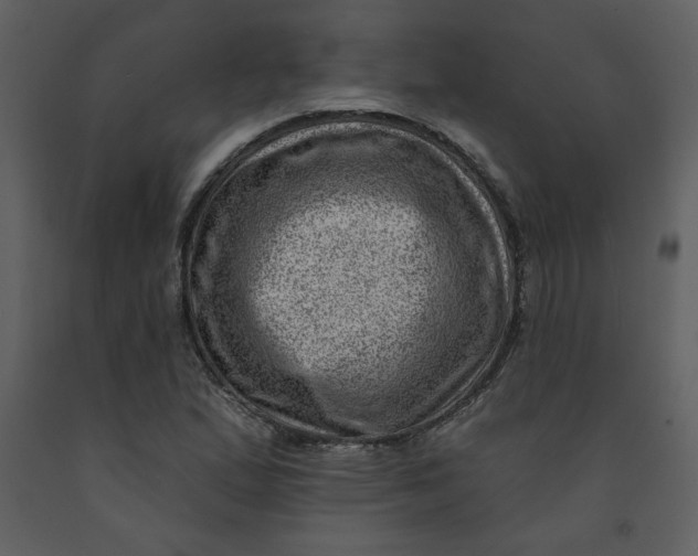 X0000093261167200710171442