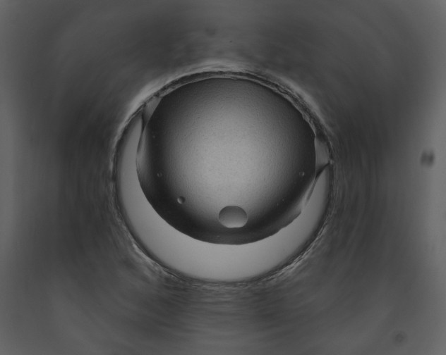 X0000093261168200710171442