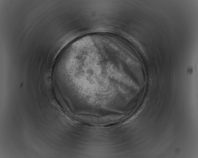 X0000093261170200710171442