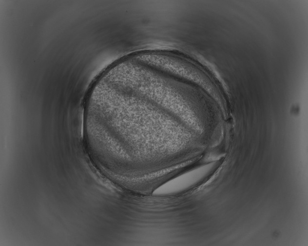 X0000093261171200710171442