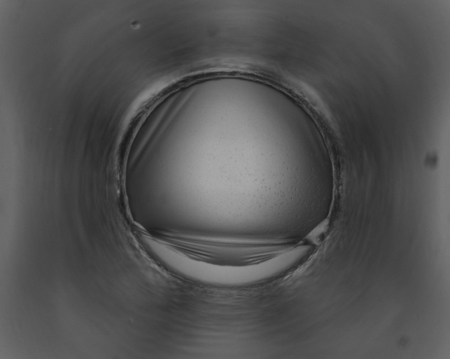 X0000093261172200710171442