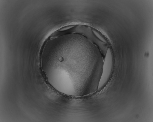 X0000093261173200710171442