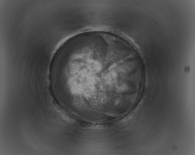 X0000093261174200710171442