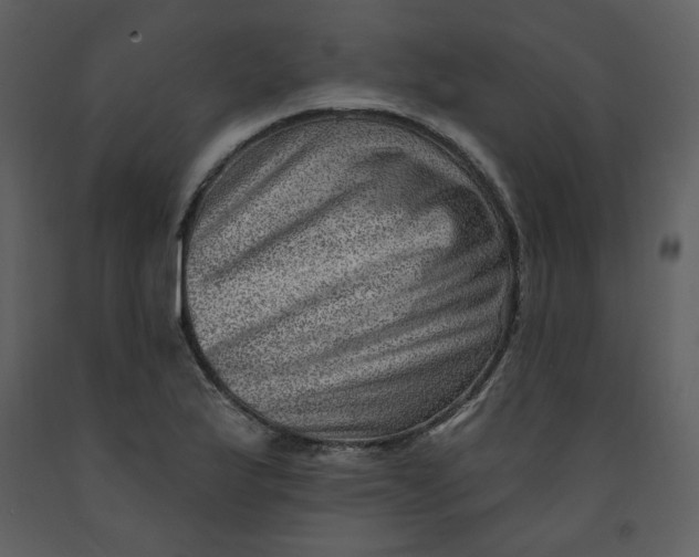 X0000093261175200710171442