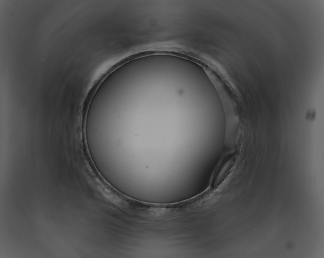 X0000093261176200710171442