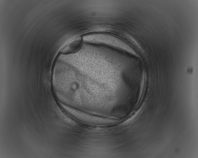 X0000093261178200710171442