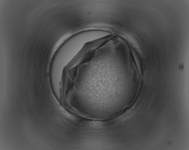 X0000093261180200710171441