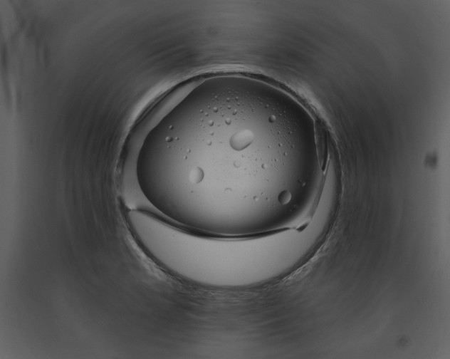 X0000093261181200710171441