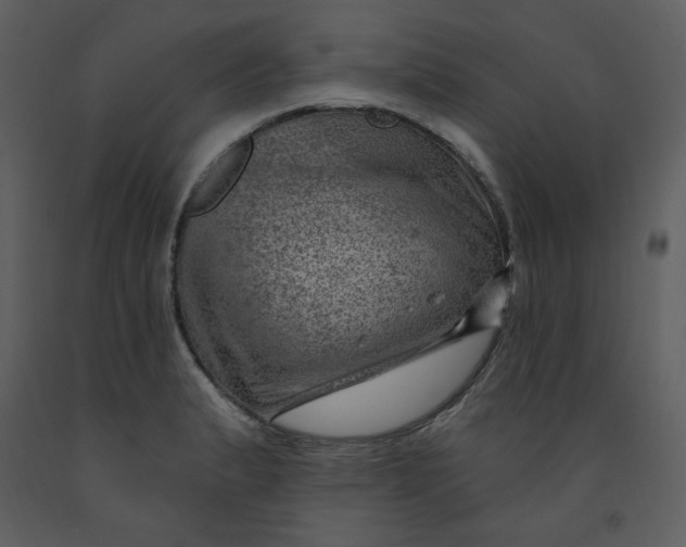 X0000093261183200710171441