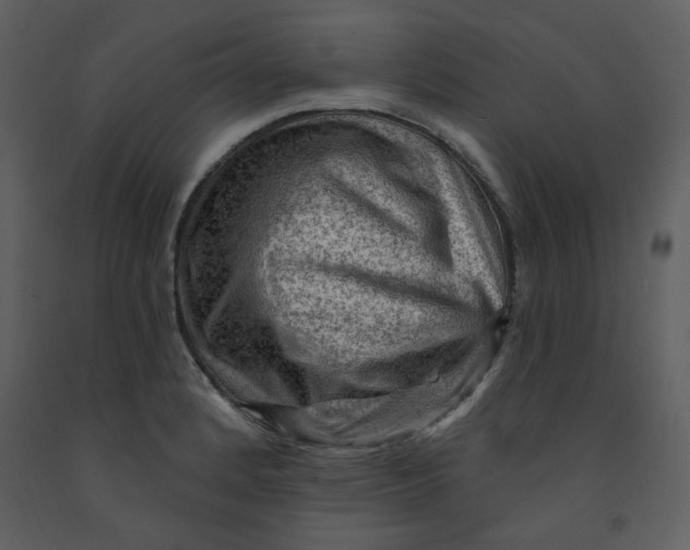 X0000093261184200710171441