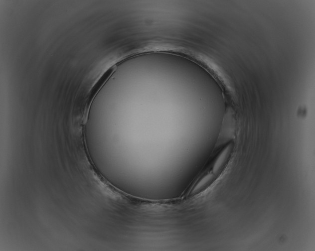 X0000093261185200710171441