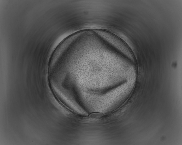 X0000093261187200710171441