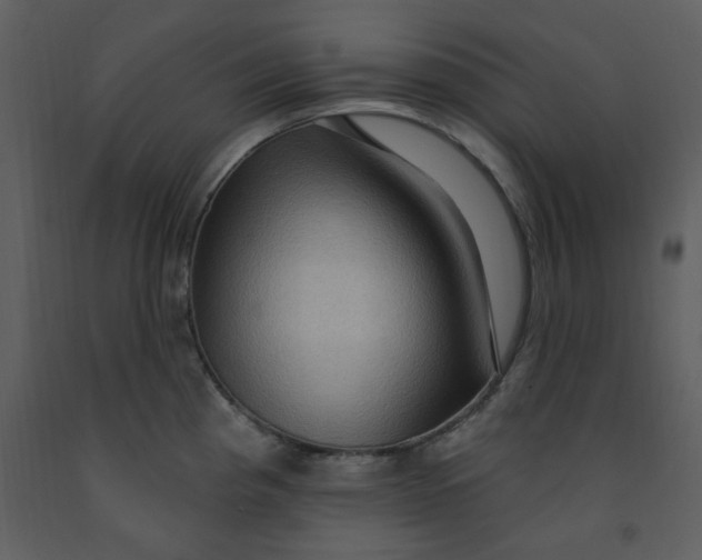 X0000093261193200710171441