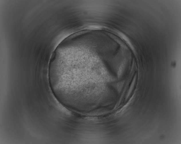 X0000093261194200710171441